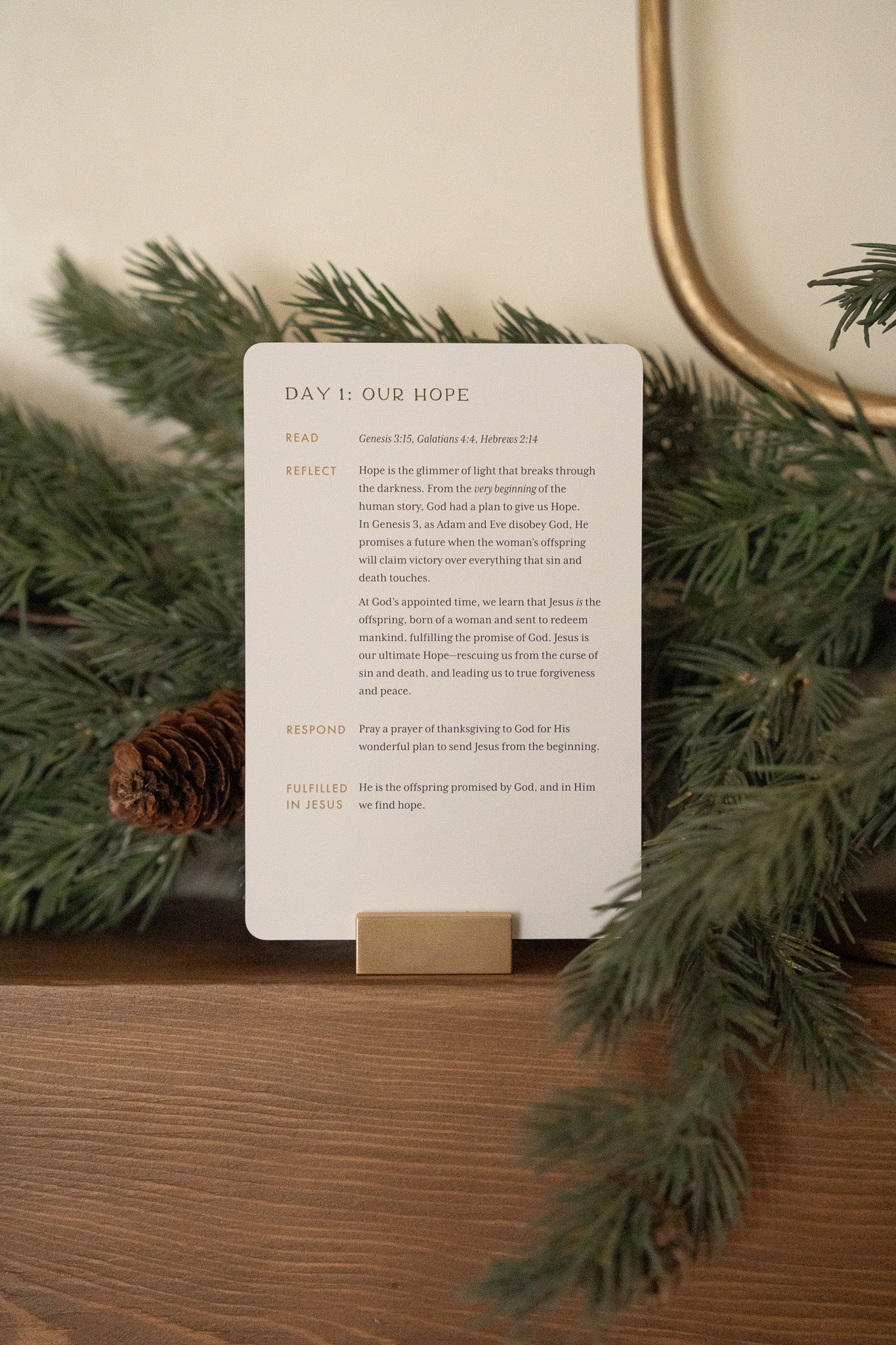 Fulfilled In Jesus Advent Reflection Set