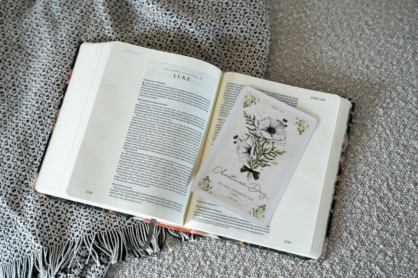 Fulfilled In Jesus Advent Reflection Set