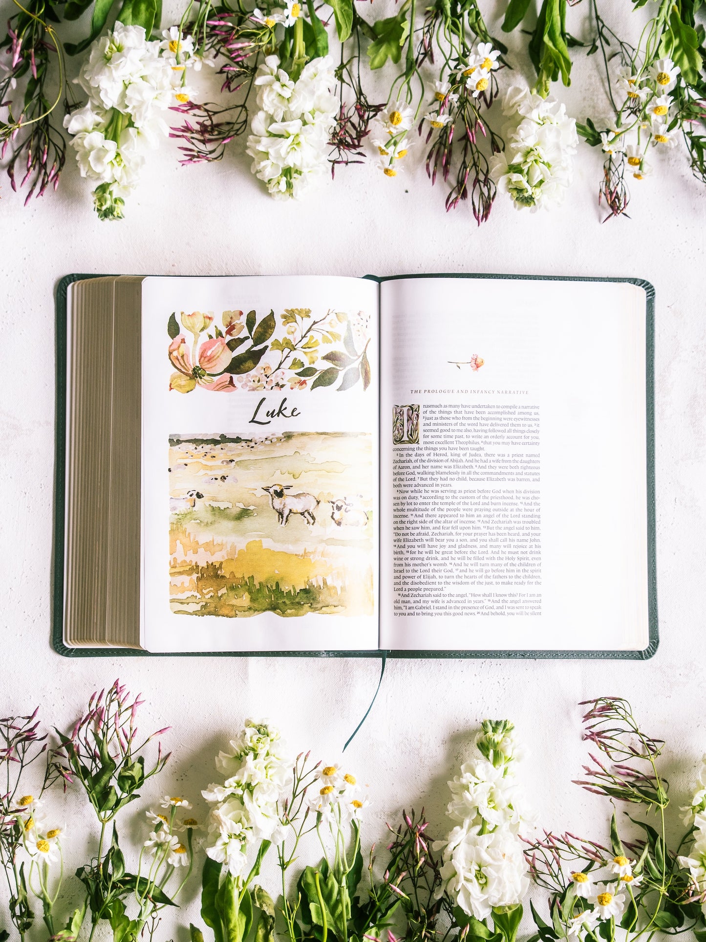 ESV GraceLaced Bible, Journaling Edition (Artwork by Ruth Chou Simons) (TruTone, Quiet Forest)
