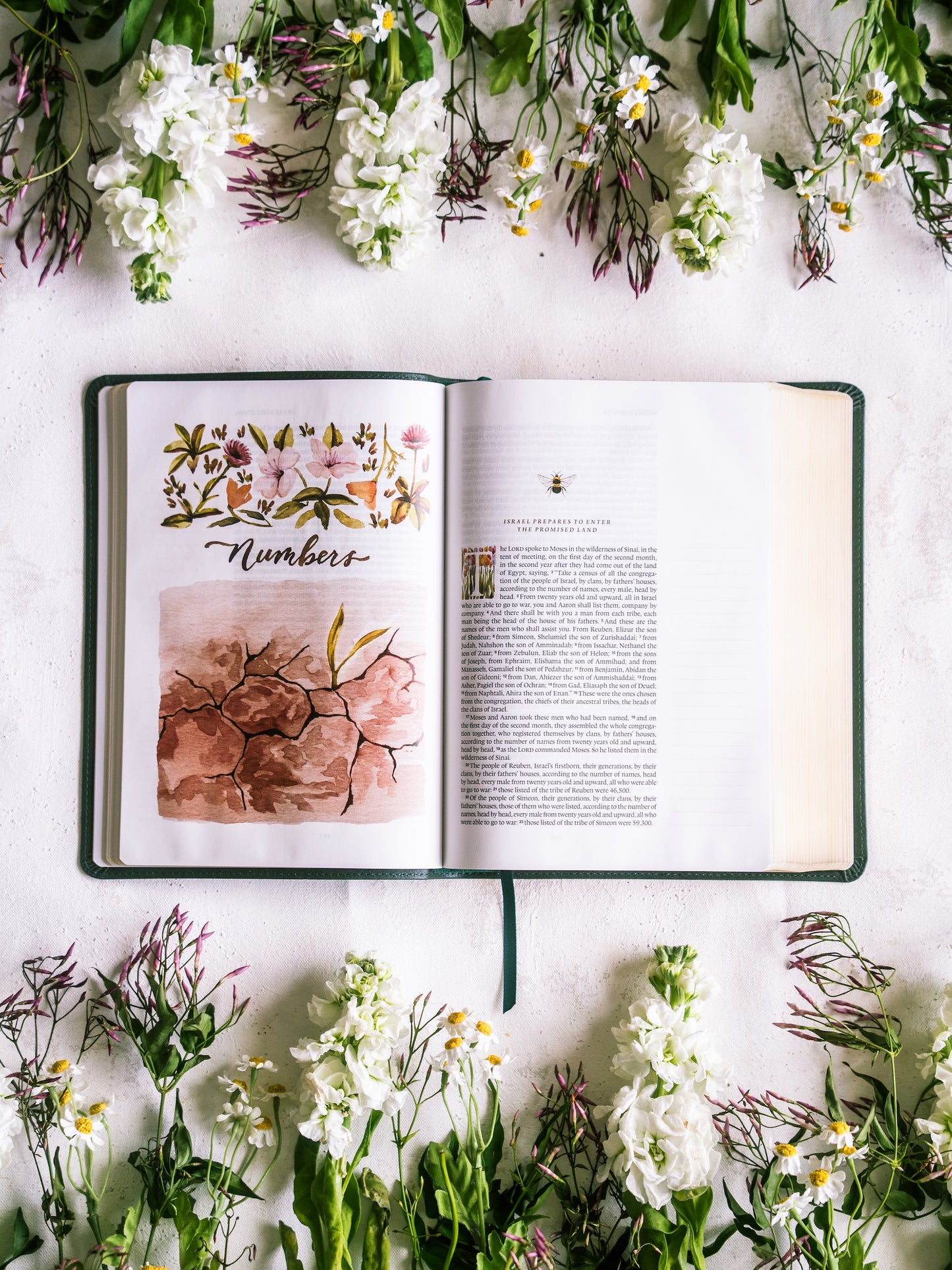 ESV GraceLaced Bible, Journaling Edition (Artwork by Ruth Chou Simons) (TruTone, Quiet Forest)