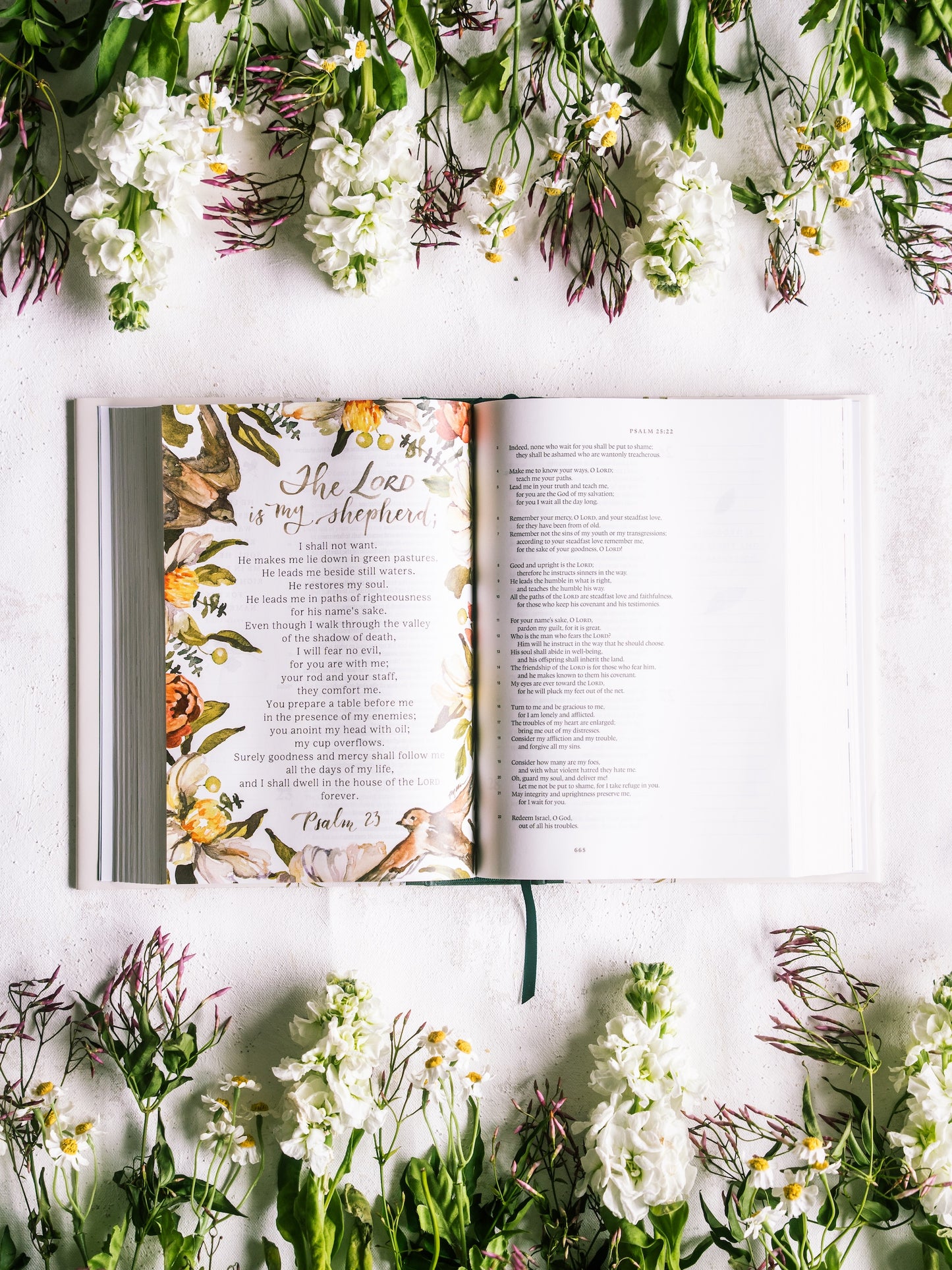 ESV GraceLaced Bible, Journaling Edition (Artwork by Ruth Chou Simons) (Hardcover)