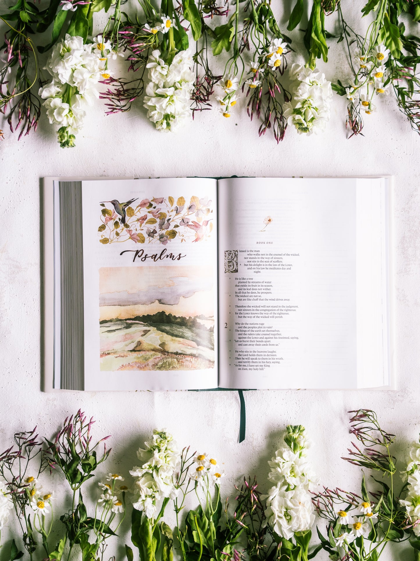 ESV GraceLaced Bible, Journaling Edition (Artwork by Ruth Chou Simons) (Hardcover)