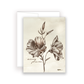 Wildflower Notecards