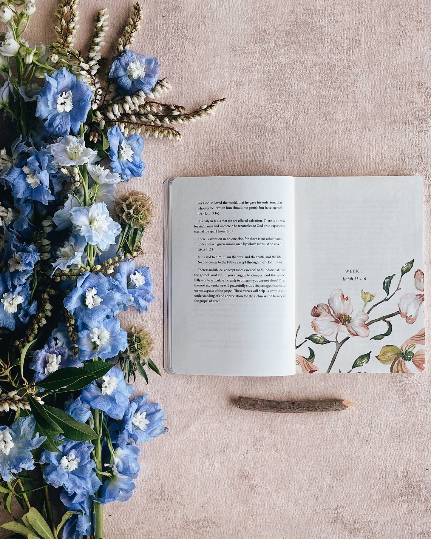 STUDIO SECONDS ESV Prayer Journal: 30 Days on the Gospel