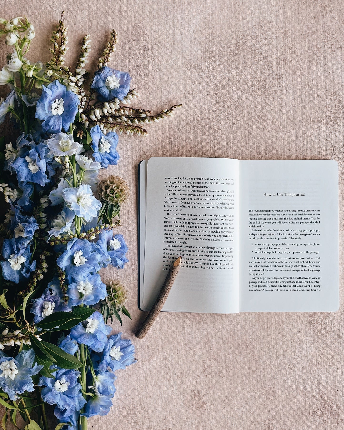 STUDIO SECONDS ESV Prayer Journal: 30 Days on Humility