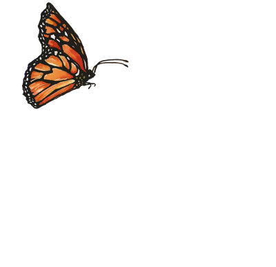 GraceLaced