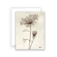 Wildflower Notecards