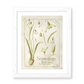Botanical Study: Snowdrop Print