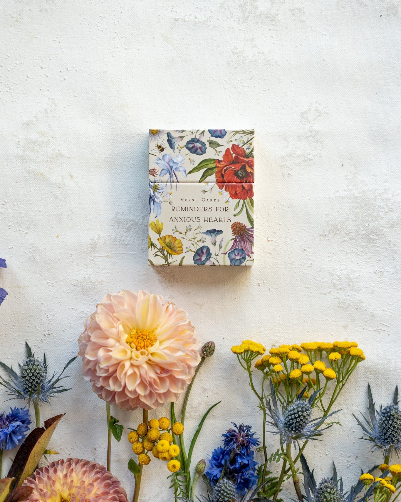 Verse Cards: Reminders for Anxious Hearts