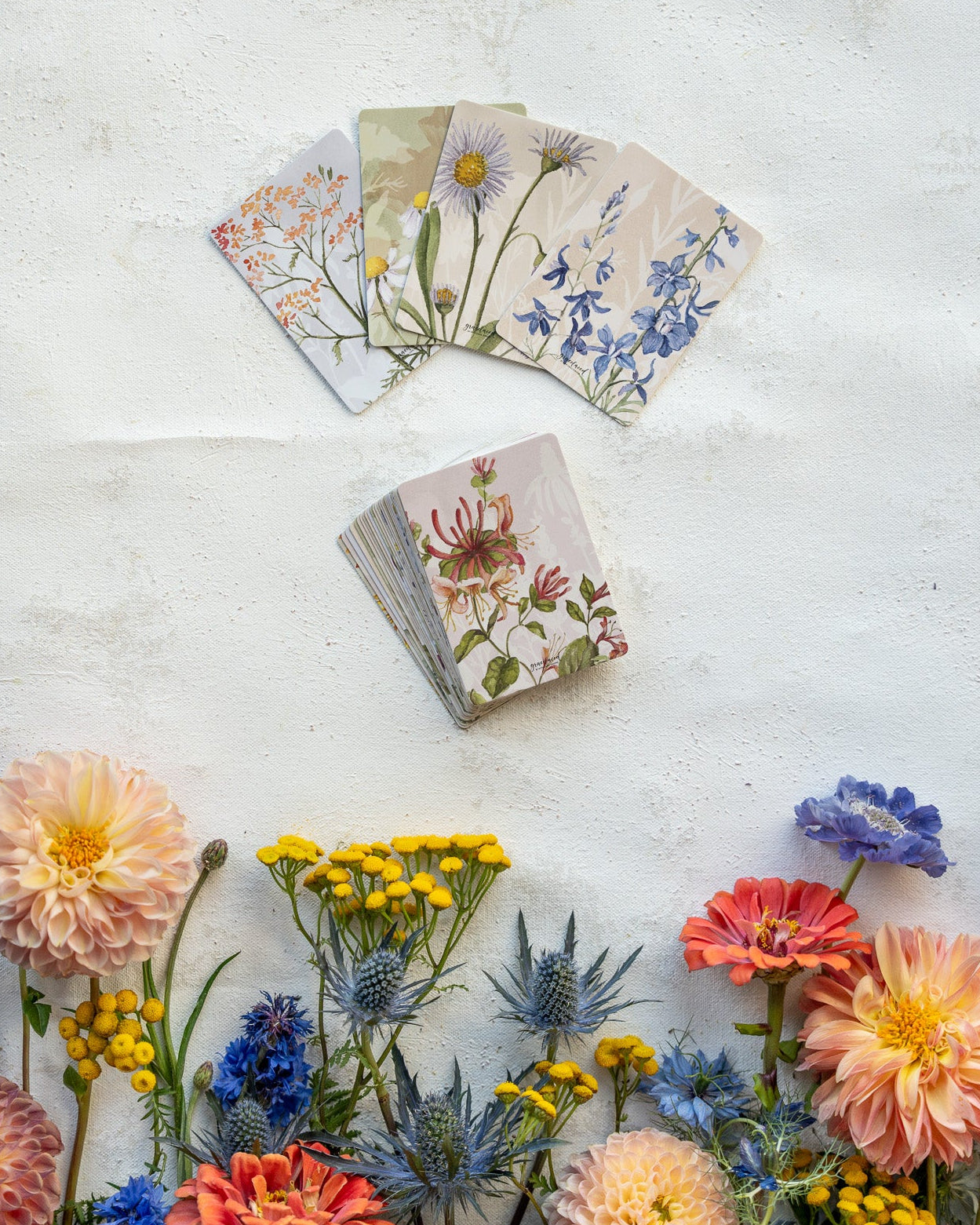 Verse Cards: Reminders for Anxious Hearts