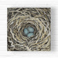 Robin's Nest Canvas