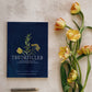 STUDIO SECONDS TruthFilled for Teens Bible Study