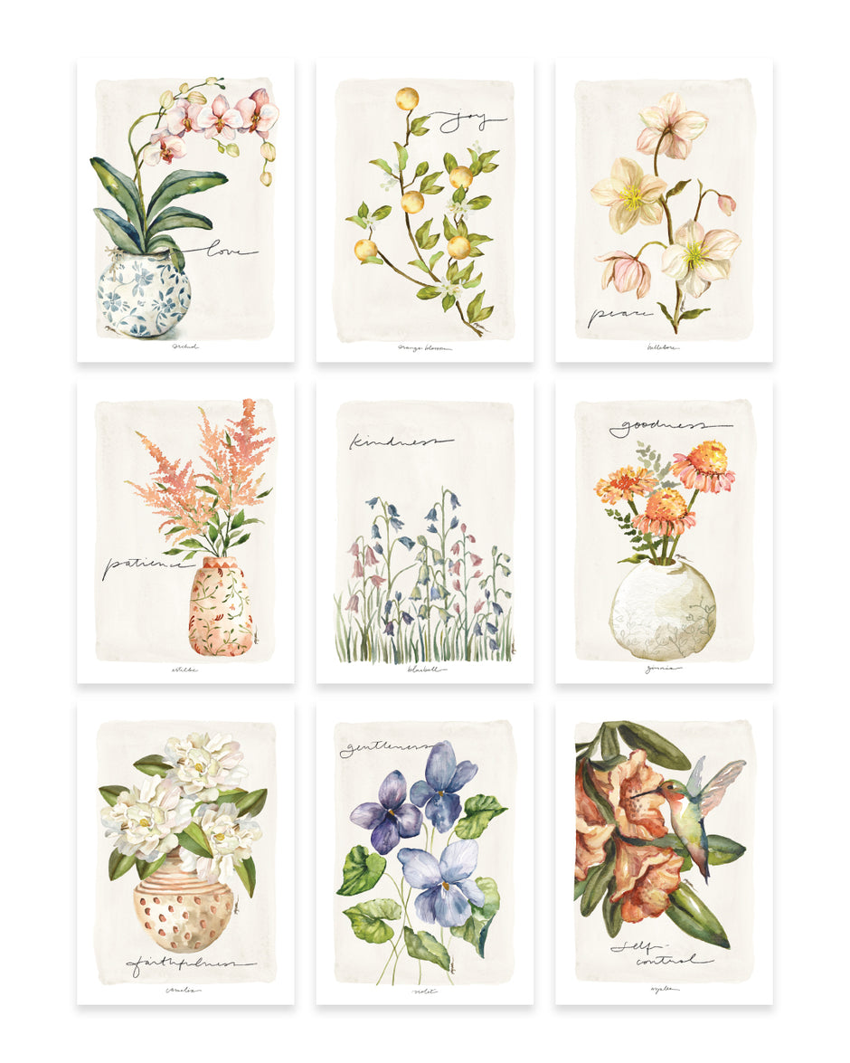 Multi-Packs – GraceLaced