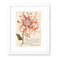 Because of Grace Art 10-Pack Print Set