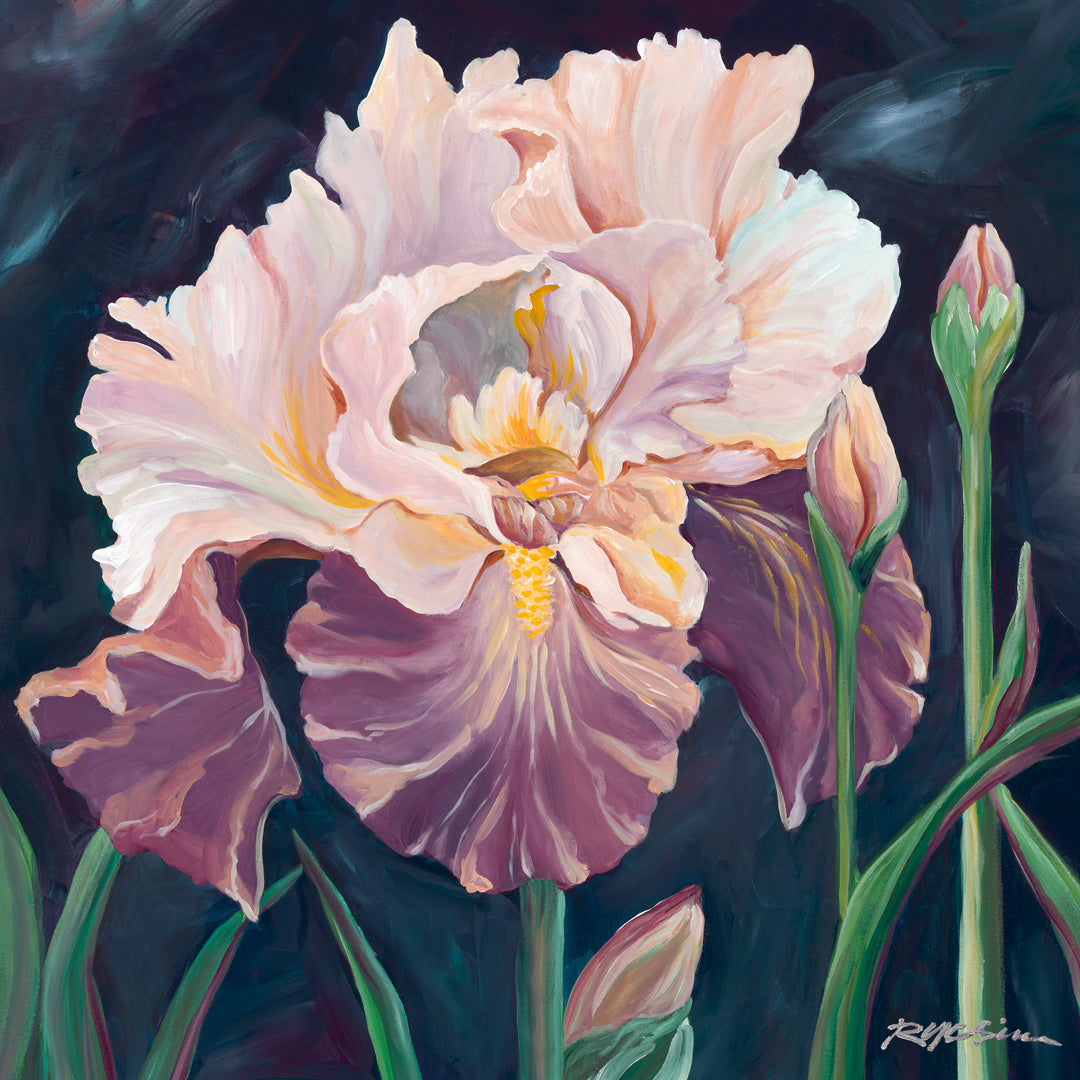 Iris Study Canvas