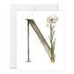 GraceLaced letter N personalized floral watercolor monogrammed note card by Ruth Chou Simons