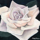 Pale Rose Canvas