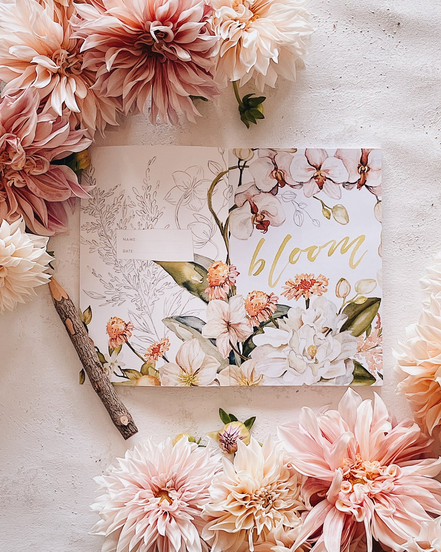 STUDIO SECONDS GraceLaced Quarterly (Issue 3: BLOOM)
