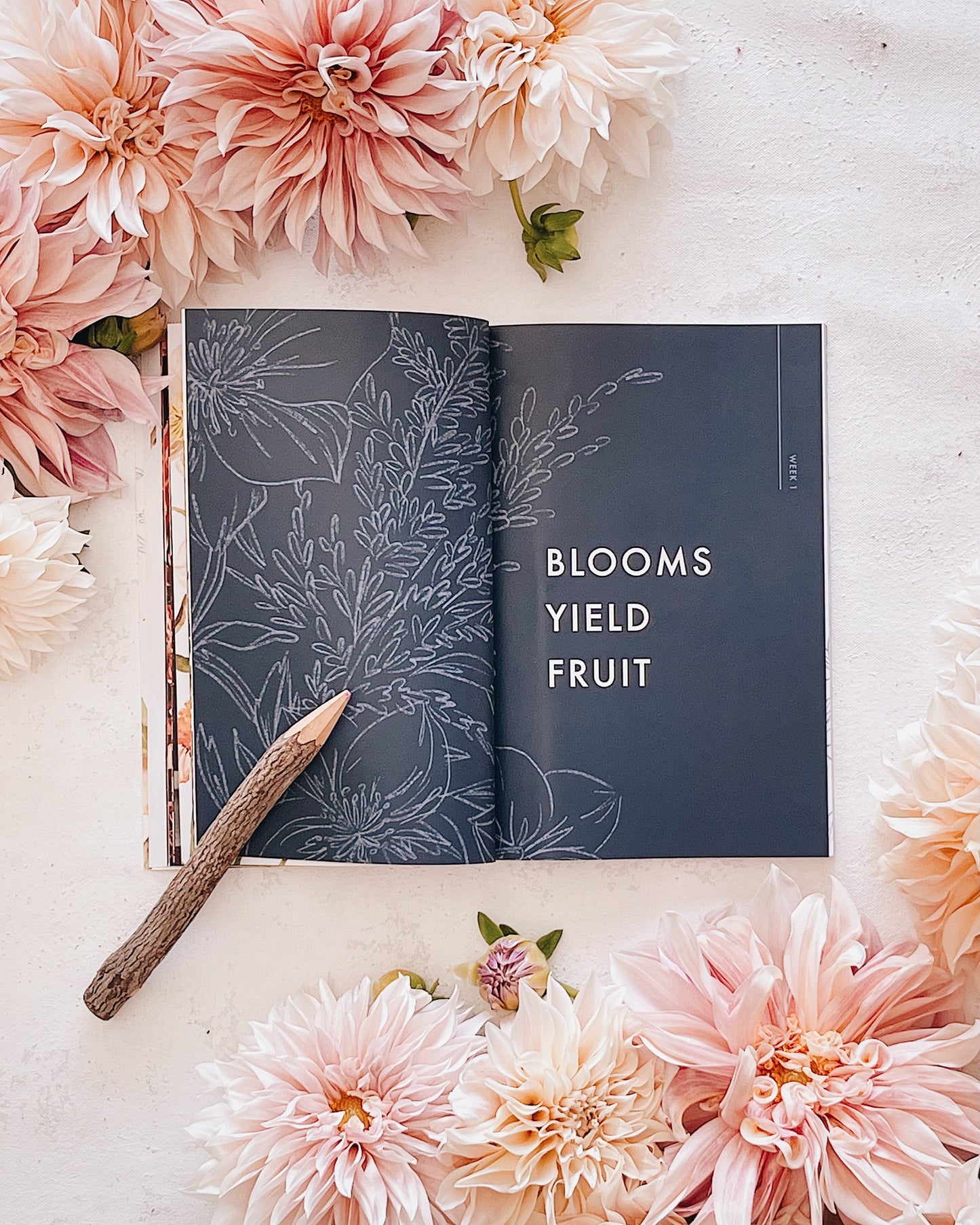 STUDIO SECONDS GraceLaced Quarterly (Issue 3: BLOOM)
